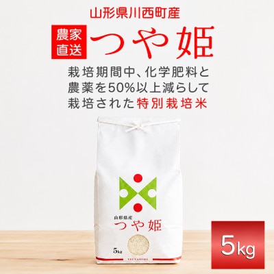 《先行予約》令和8年産　山形県産　つや姫　5kg【1120491】