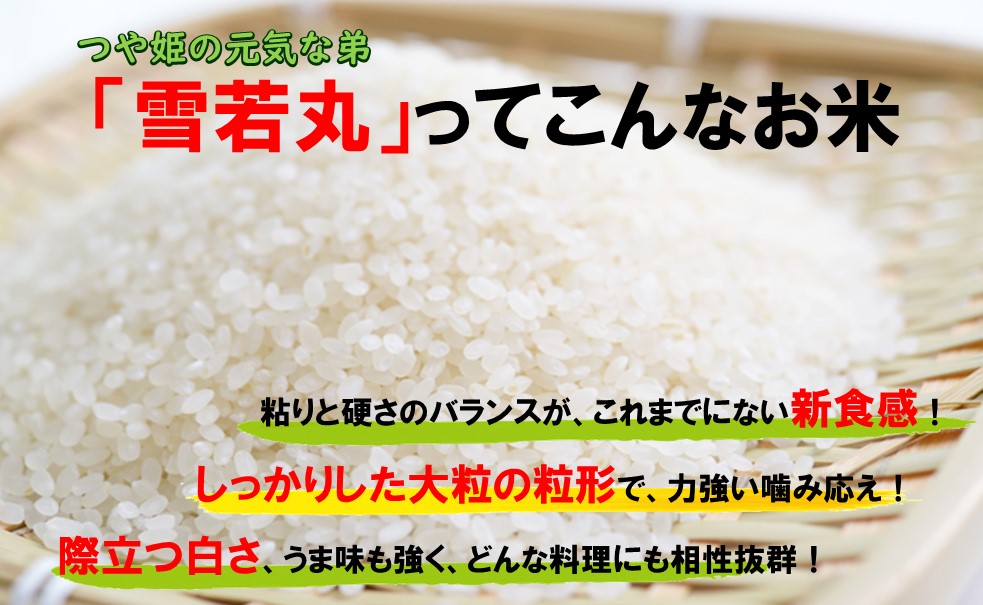 人気のブランド米　雪若丸　白米　10kg（令和6年飯豊町産）