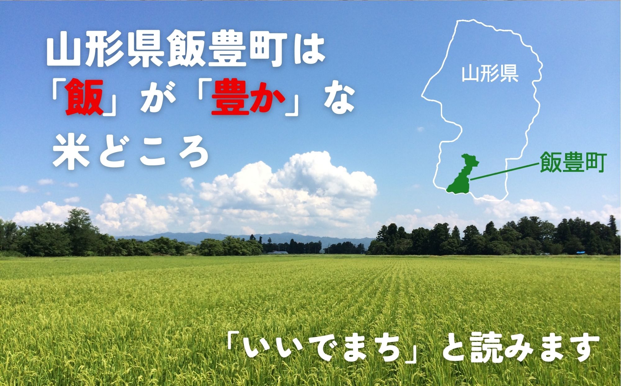 山形県のおいしいお米　雪若丸　玄米30kg（令和6年山形県飯豊町産）