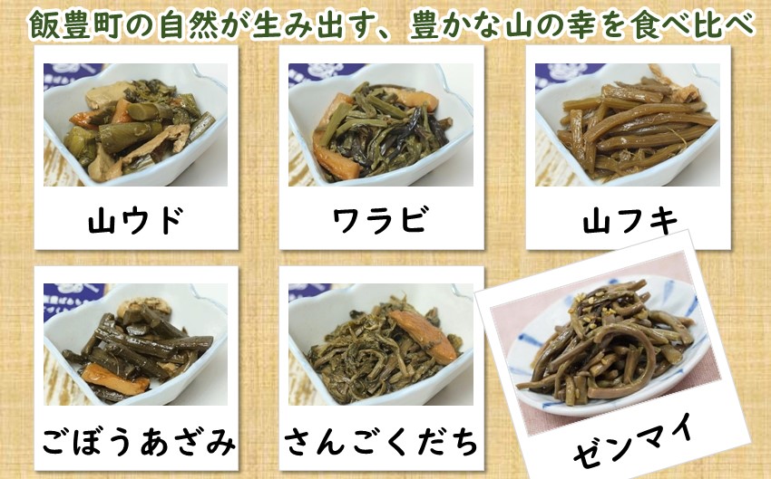 天然山菜　飯豊ばあちゃんの煮物 6種セット