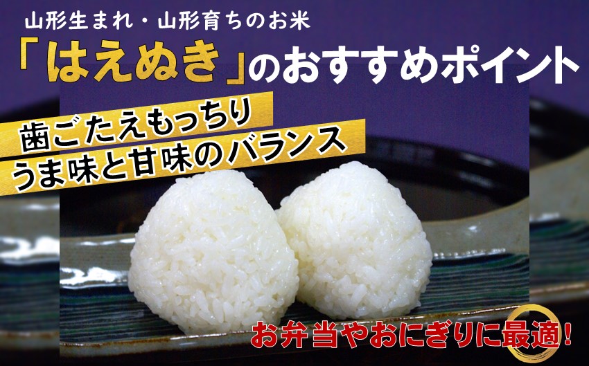 人気のブランド米　はえぬき　白米　10kg（令和5年山形県飯豊町産）