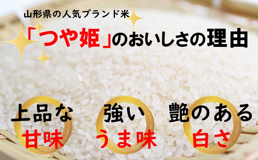 生産者の顔が見える米　つや姫　白米10kg（令和6年山形県飯豊町産）
