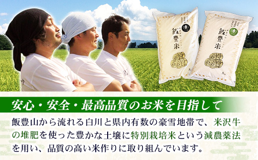 【R7年産米】はえぬき 白米 10㎏(5㎏×2) - 白米 米 ごはん 品種 銘柄 ブランド米 おすすめ 送料無料 山形県 飯豊町