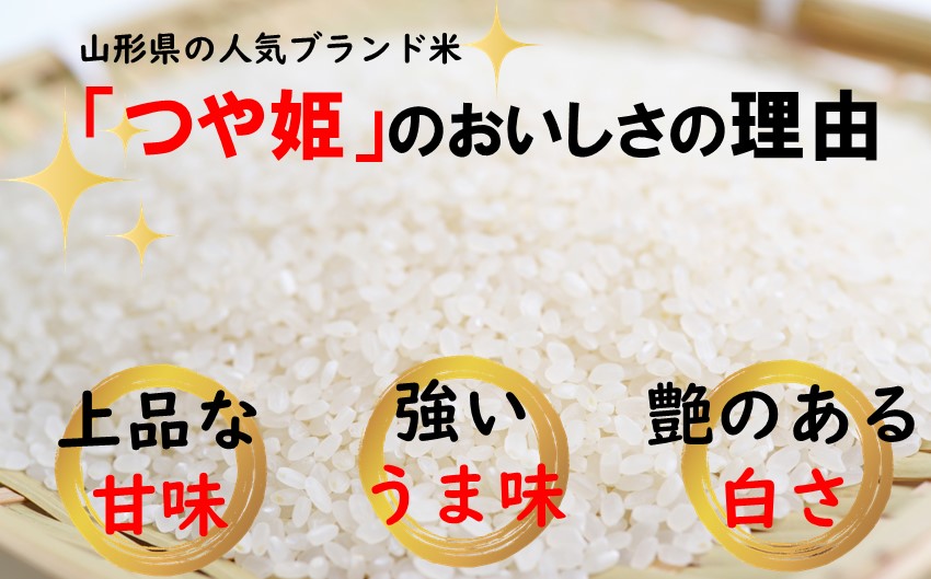 山形県の人気ブランド米　つや姫　白米10kg（令和6年飯豊町産）