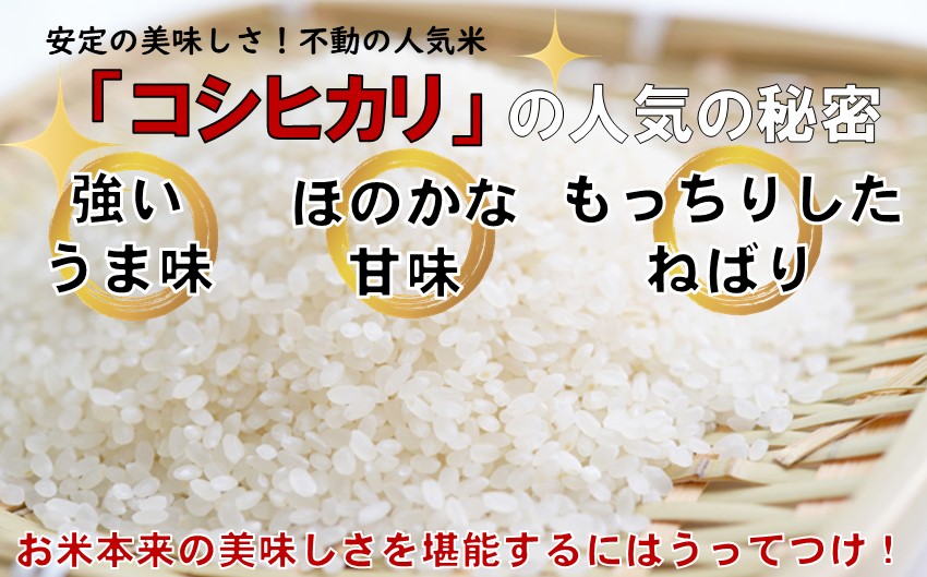 こだわりのお米　コシヒカリ　白米　10kg（令和6年飯豊町産） 