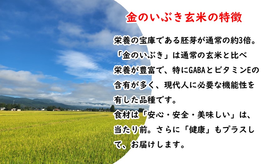 山形県飯豊町産　金のいぶき　玄米4kg（令和6年産）