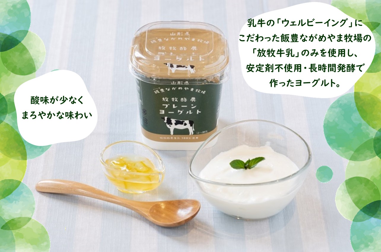 放牧酪農牛乳とヨーグルト詰め合わせ