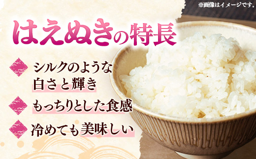【R8年産新米予約】至福の味わい、幸せ米 はえぬき10kg - 白米 米 ごはん 品種 銘柄 ブランド米 おすすめ 送料無料 山形県 飯豊町