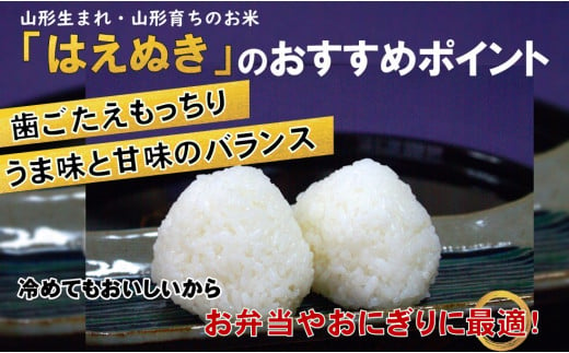 お米屋さんが選ぶおいしいお米　はえぬき　白米10kg（令和6年山形県飯豊町産）