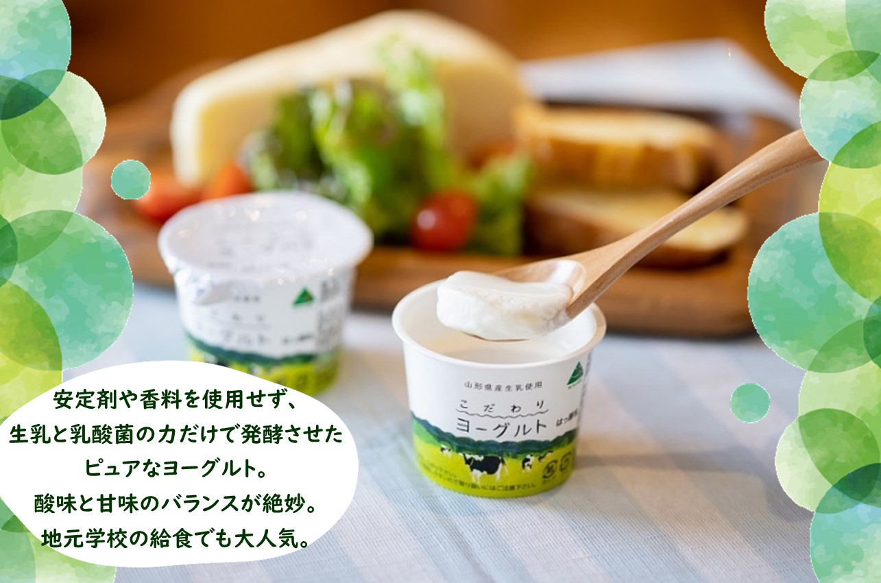 放牧酪農牛乳とヨーグルト詰め合わせ