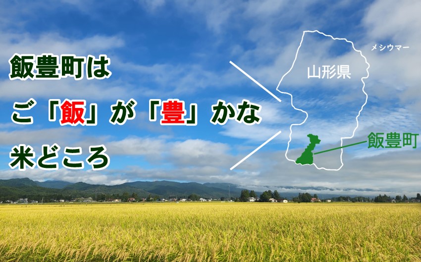 特別栽培米　つや姫　玄米　30kg（令和6年山形県飯豊町産）