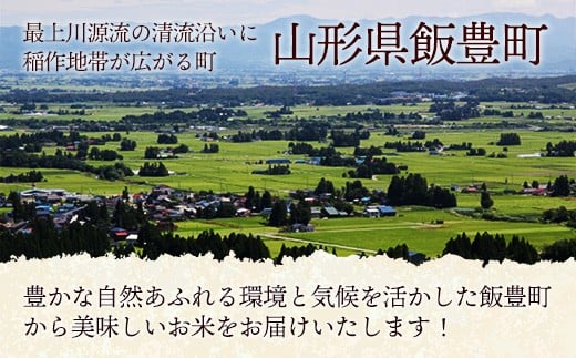 令和7年産 飯豊の幸 山形県ブランド米 銘柄お任せセット 『はえぬき』『雪若丸』『つや姫』『ひとめぼれ』精米 20kg （5kg×4袋）