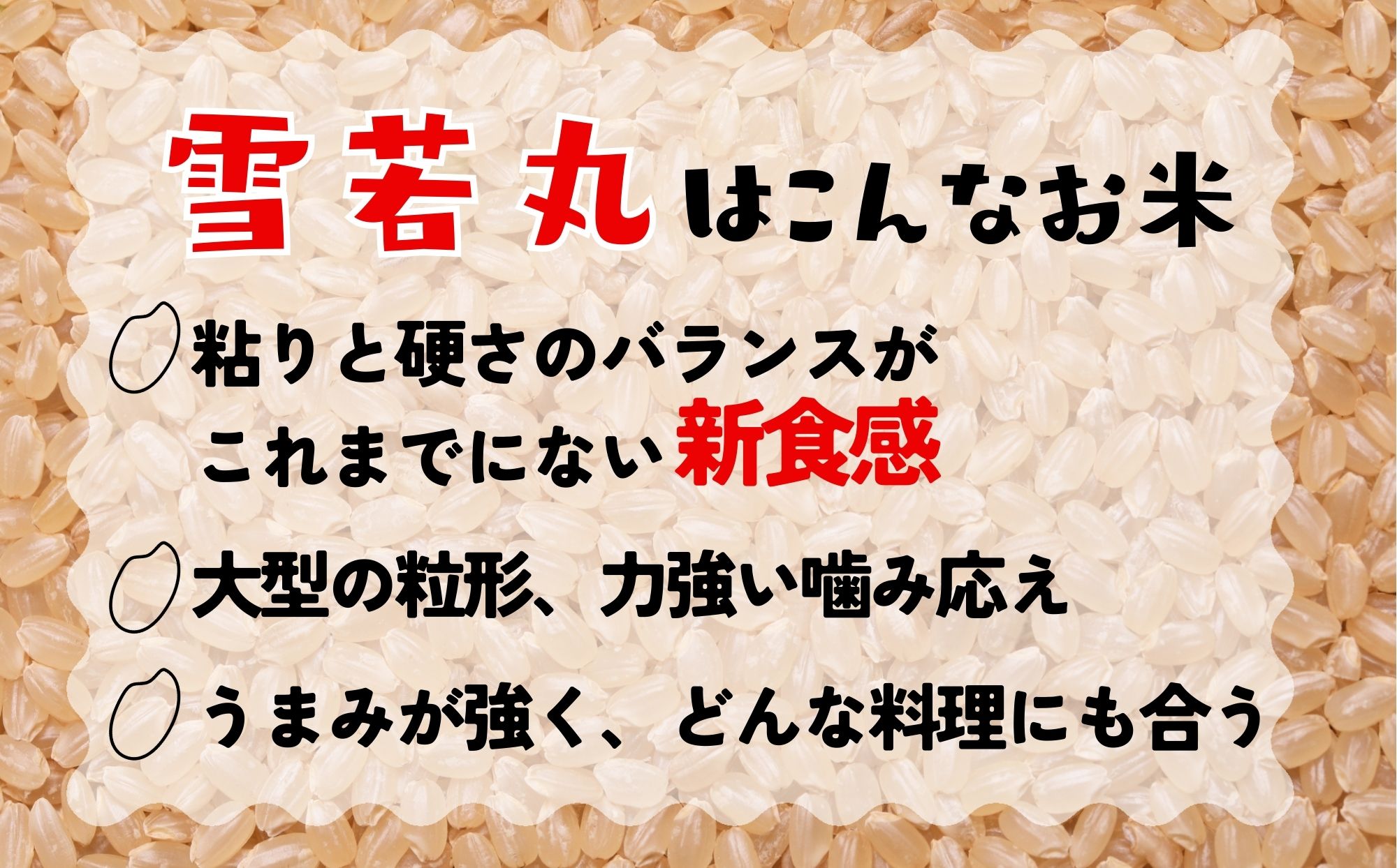 山形県のおいしいお米　雪若丸　玄米30kg（令和6年山形県飯豊町産）