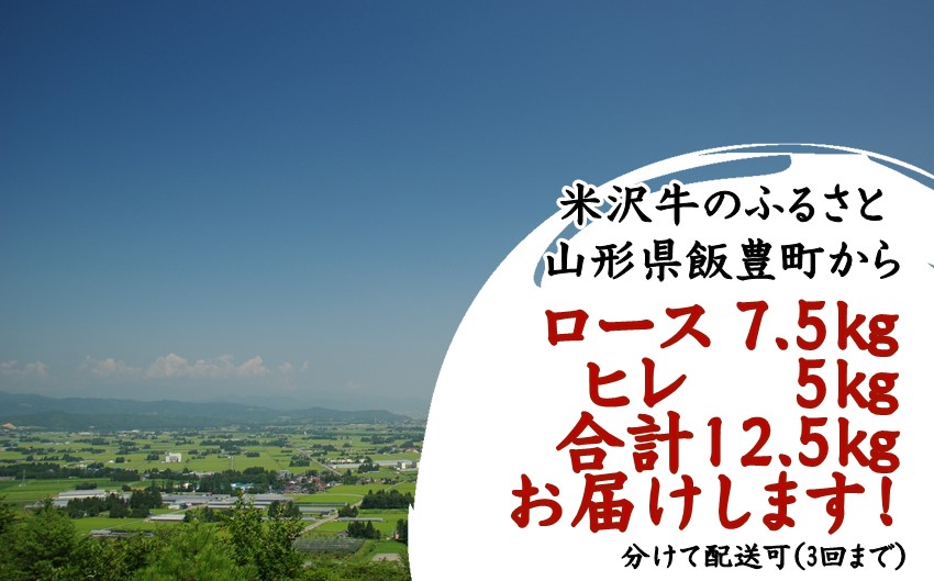 人気のブランド和牛　米沢牛「贅沢」セット【冷蔵便】サーロイン・ヒレ肉合計12.5kg