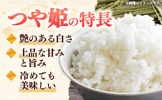 【R8年産新米予約】至福の味わい、幸せ米 つや姫5kg×2 - 白米 米 ごはん 品種 銘柄 ブランド米 おすすめ 送料無料 山形県 飯豊町産