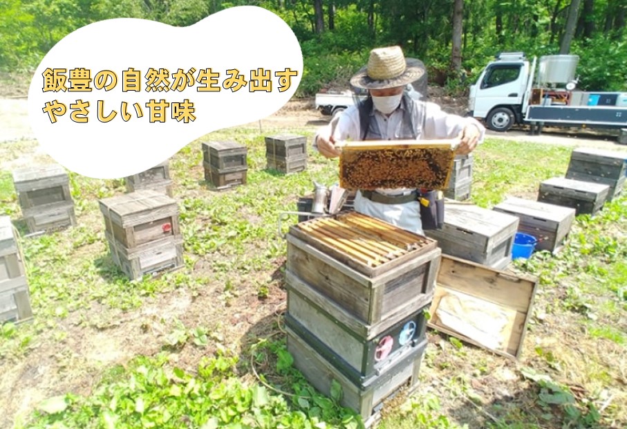 純粋はちみつ3本セット（アカシア・とち・百花）山形県飯豊町産蜂蜜