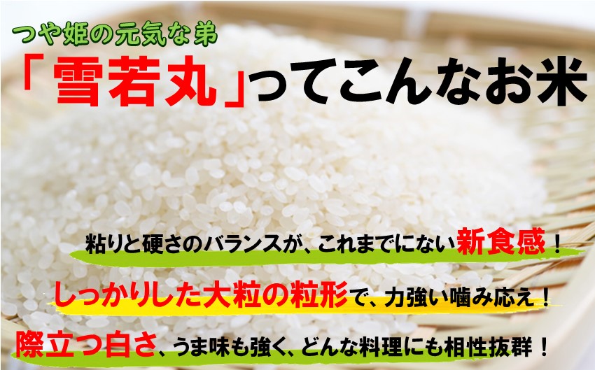 人気のブランド米　つや姫、雪若丸　玄米セット（つや姫、雪若丸 各5kg）（飯豊町産）(R7年産）【価格改定】
