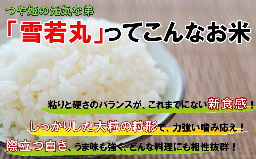 人気のブランド米を食べ比べ！飯豊米プレミアムセット（令和6年産つや姫・雪若丸・はえぬきセット）