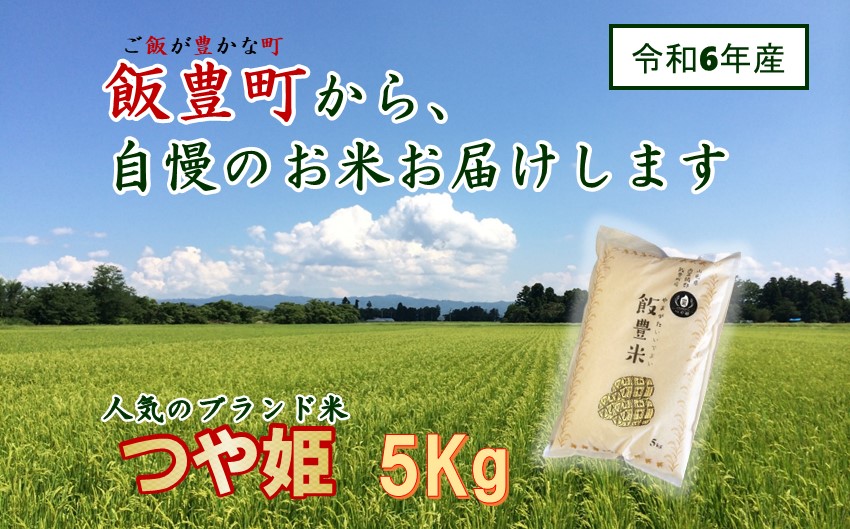 山形県の人気ブランド米　つや姫　白米　5kg（令和6年飯豊町産） 