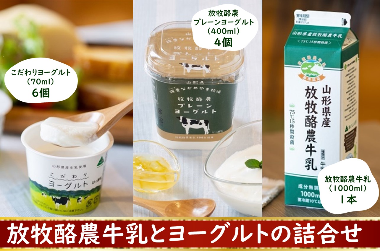 放牧酪農牛乳とヨーグルト詰め合わせ