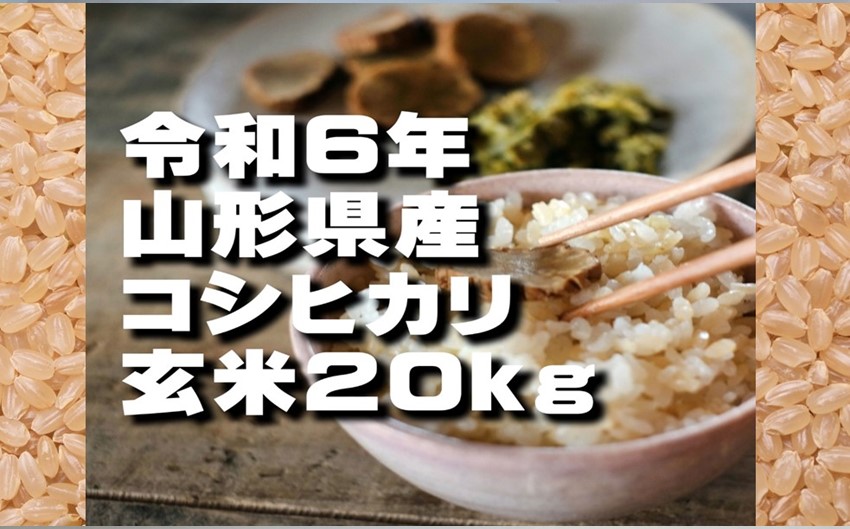 コシヒカリ　玄米20kg（令和6年山形県飯豊町産）