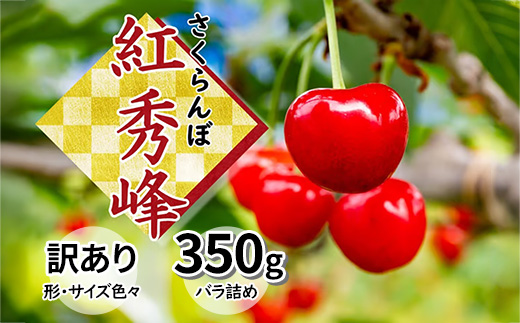 さくらんぼ 紅秀峰 訳アリ 350g（バラ詰め） 山形県飯豊町産 - さくらんぼ 紅秀峰 2026 山形 2026年発送 サクランボ フルーツ 山形県 飯豊町 田園サービスいいで ※北海道・中国・四国・九州・沖縄　配送不可