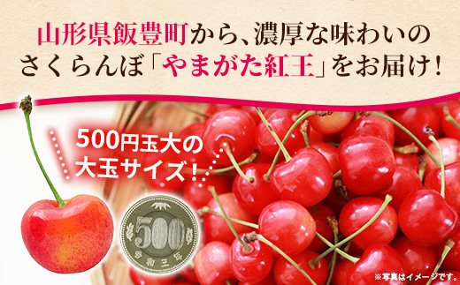 ãããã㌠çŽ
ç ç¹ç§å 300gïŒãã©è©°ãïŒ å±±åœ¢ç飯è±çºç£ - ãããã㌠çŽ
ç 2026 山圢 2026幎çºé ãµã¯ã©ã³ã ãã«ãŒã 山圢ç 飯è±çº ç°åãµãŒãã¹ããã§ â»åæµ·éã»äžåœã»ååœã»ä¹å·ã»æ²çžãé
éäžå¯