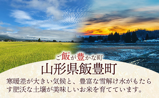 人気のブランド米 はえぬき 白米 10kg (R7年産） - 山形県 飯豊町産 米 精米 品種 銘柄 ブランド米 ご飯 白米 おすすめ 送料無料 田園サービスいいで【価格改定】