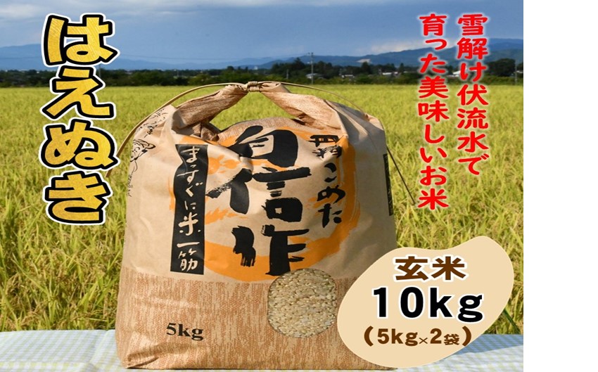 人気のブランド米　はえぬき　玄米10kg（令和6年山形県飯豊町産） 