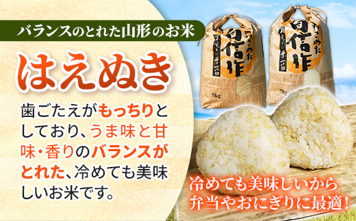 人気のブランド米 はえぬき 白米 10kg (R7年産） - 山形県 飯豊町産 米 精米 品種 銘柄 ブランド米 ご飯 白米 おすすめ 送料無料 田園サービスいいで【価格改定】