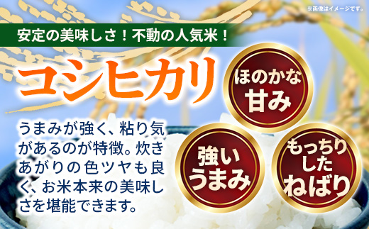 ãã ããã®ãç±³ ã³ã·ãã«ãª çœç±³ 10kg (R7幎ç£ïŒ - 山圢ç 飯è±çºç£ ç±³ 粟米 åçš® éæ ãã©ã³ãç±³ ã飯 çœé£¯ ãããã éæç¡æ é·æ²Œãã¡ãŒã