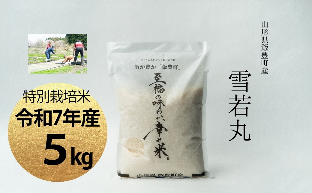 【令和7年産】至福の味わい、　幸せ米。「雪若丸」精米 5kg - 白米 米 ごはん 品種 銘柄 ブランド米 おすすめ 送料無料 山形県 飯豊町