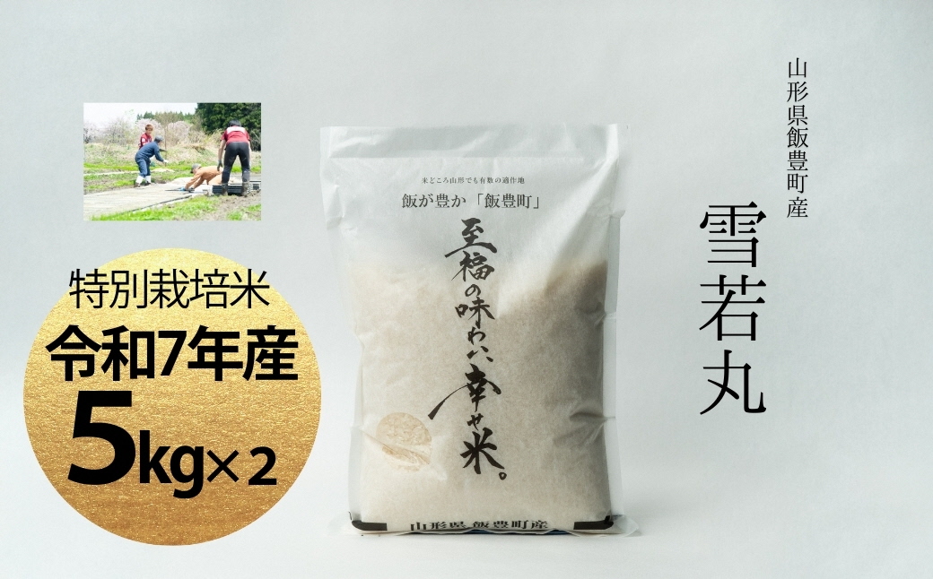 【令和7年産】至福の味わい、　幸せ米。「雪若丸」精米 5kg×2 - 白米 米 ごはん 品種 銘柄 ブランド米 おすすめ 送料無料 山形県 飯豊町
