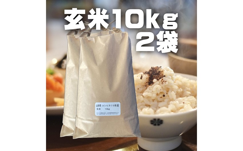 コシヒカリ　玄米20kg（令和5年山形県飯豊町産）