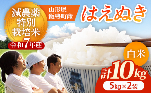 【R7年産米】はえぬき 白米 10㎏(5㎏×2) - 白米 米 ごはん 品種 銘柄 ブランド米 おすすめ 送料無料 山形県 飯豊町