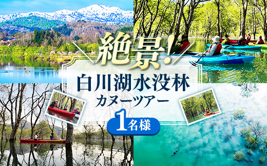 絶景 水没林カヌーツアー（1名様） 癒しの自然満喫アクティビティ【フォトジェニックスポット】 - 体験型 カヌー体験 レジャー カヌー 自然 白川湖 水没林 体験チケット アクティビティ 観光 アウトドア 山形県 飯豊町【価格改定】