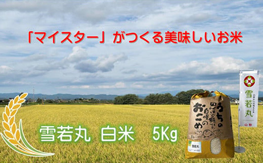 マイスターがつくる　雪若丸　白米 5kg（飯豊町産）(R7年産）【価格改定】