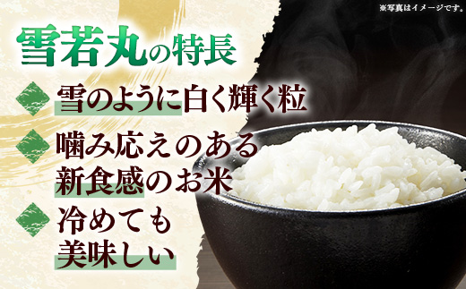 【令和7年産】飯豊町産 雪若丸 玄米30? おこめ 米 ごはん 弾力 品種 銘柄 ブランド米 おすすめ 送料無料 山形県 飯豊町