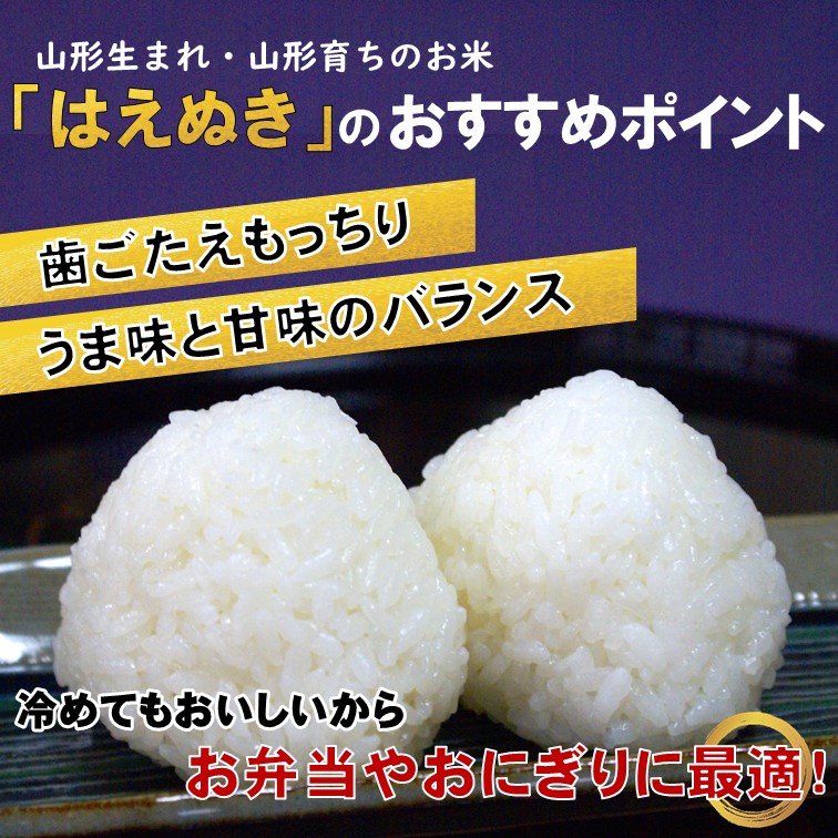 マイスターがつくる　はえぬき　白米 5kg（飯豊町産）(R7年産）【価格改定】