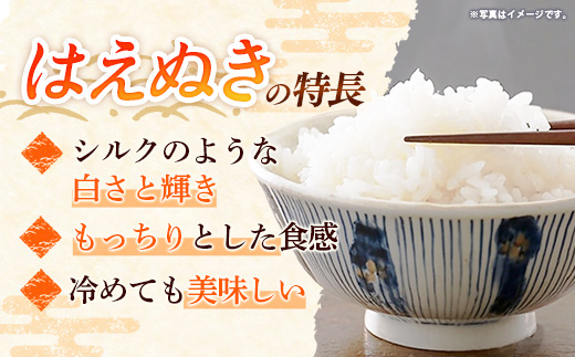 【R7年産米】はえぬき 白米 10㎏(5㎏×2) - 白米 米 ごはん 品種 銘柄 ブランド米 おすすめ 送料無料 山形県 飯豊町