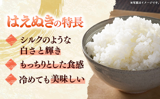 【令和7年産】飯豊町産 はえぬき 玄米 30kg おこめ 米 ごはん もっちり お弁当 おにぎり 品種 銘柄 ブランド米 おすすめ 送料無料 山形県 飯豊町