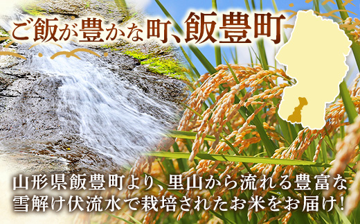 人気のブランド米 はえぬき 白米 10kg (R7年産） - 山形県 飯豊町産 米 精米 品種 銘柄 ブランド米 ご飯 白米 おすすめ 送料無料 田園サービスいいで【価格改定】