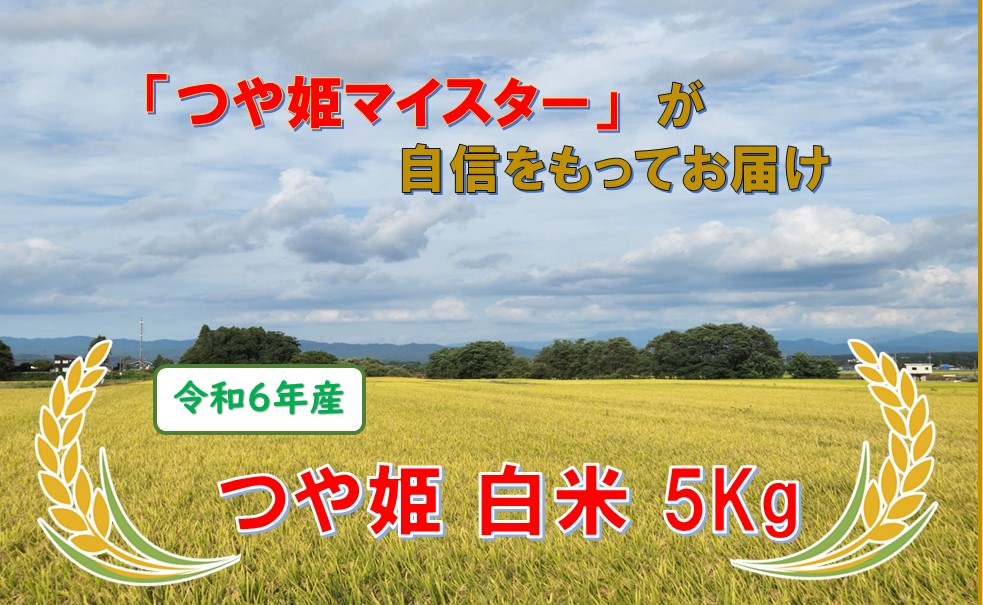 きれいな水から出来た米　つや姫　白米　5kg（令和6年産） 