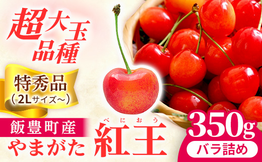 さくらんぼ 紅王 特秀品 350g（バラ詰め）山形県飯豊町産 - さくらんぼ 紅王 2026 山形 2026年発送 サクランボ フルーツ 山形県 飯豊町 田園サービスいいで ※北海道・中国・四国・九州・沖縄　配送不可