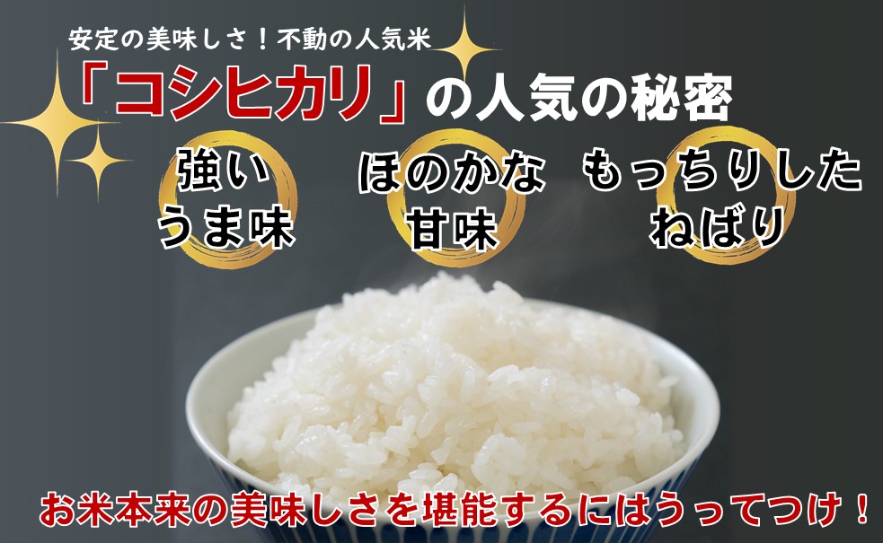 生産者の顔が見える米　コシヒカリ　白米　10kg（飯豊町産）(R7年産）【価格改定】