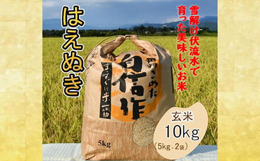 人気のブランド米　はえぬき　玄米 10kg（飯豊町産）(R7年産）【価格改定】