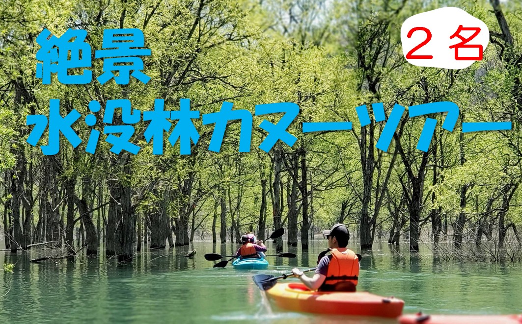 絶景 水没林カヌーツアー（2名様）癒しの自然満喫アクティビティ【フォトジェニックスポット】