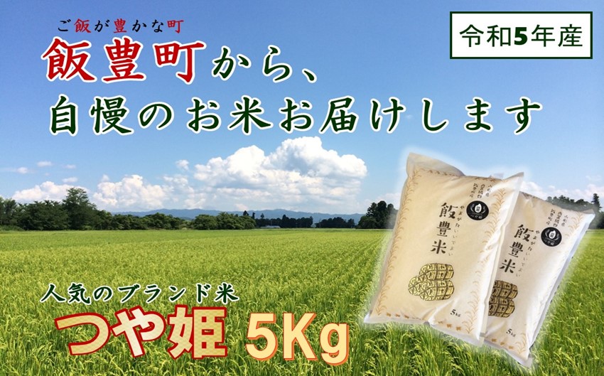 山形県の人気ブランド米　つや姫　白米　5kg（令和5年飯豊町産） 