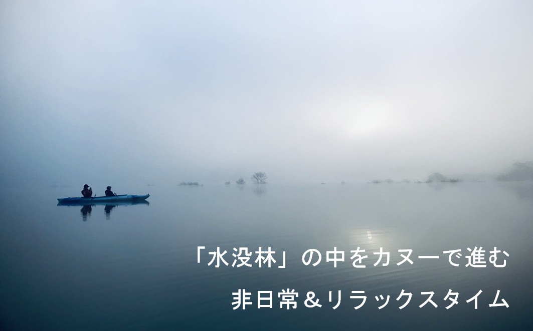 絶景 水没林カヌーツアー（1名様） 癒しの自然満喫アクティビティ【フォトジェニックスポット】