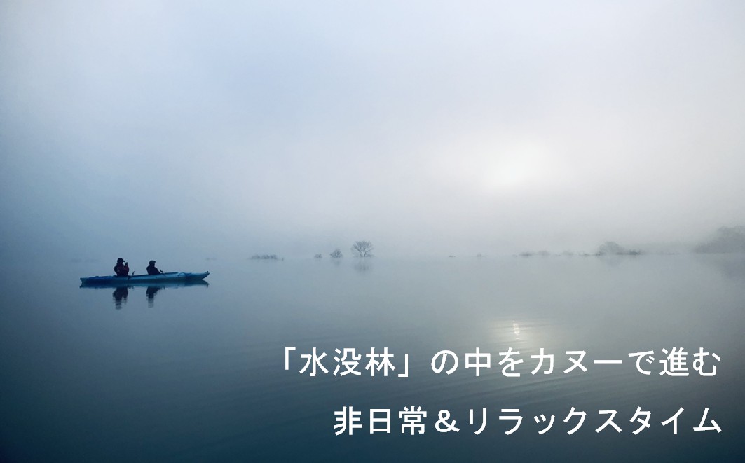 絶景 水没林カヌーツアー（2名様）癒しの自然満喫アクティビティ【フォトジェニックスポット】